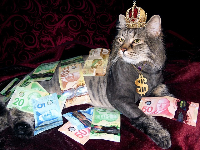 Träume vom Geld